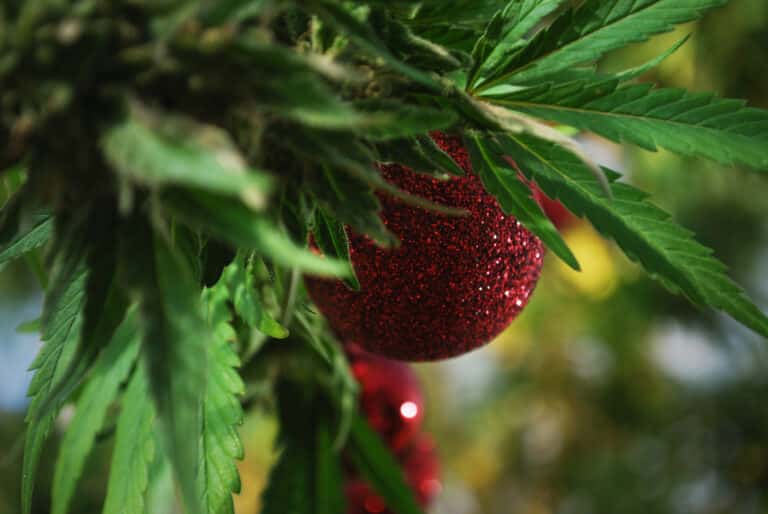 Cannabis Christmas Gift Baskets