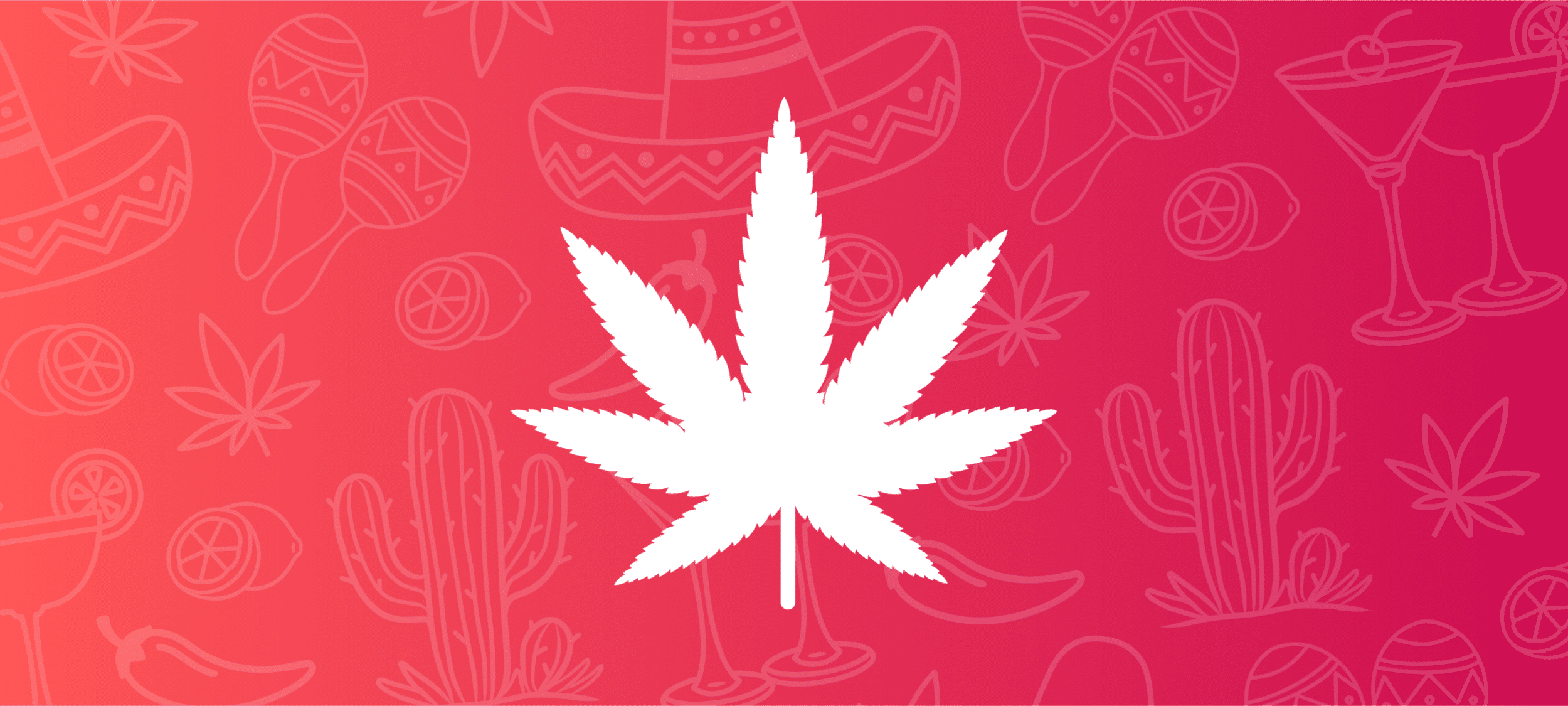 cinco de mayo weed deals near me