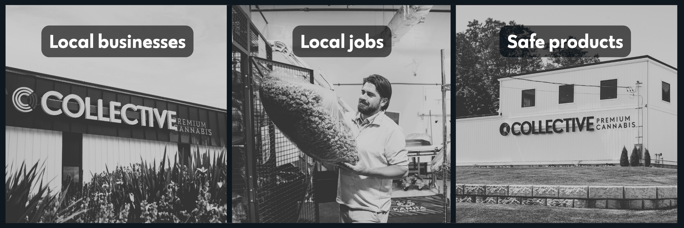 local jobs, local businesses, safe products, and tax revenue are all at risk if question 8 passes